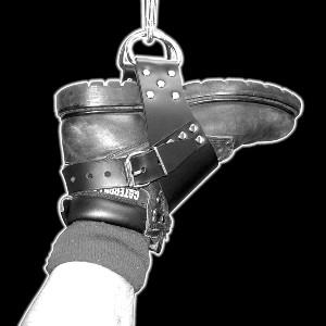 Suspension :: Ankle