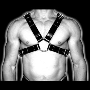 4 Strap Harness 38mm (1")